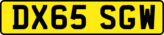 DX65SGW