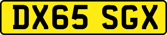 DX65SGX