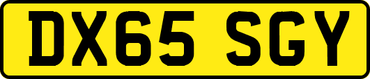DX65SGY