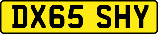 DX65SHY