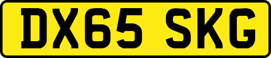 DX65SKG