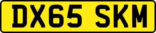 DX65SKM