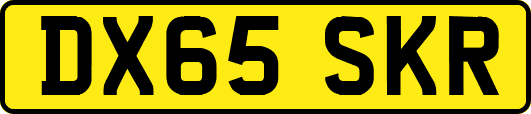 DX65SKR