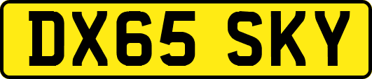DX65SKY