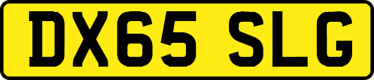 DX65SLG