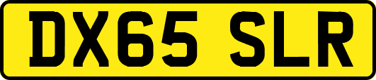 DX65SLR