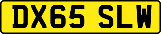 DX65SLW