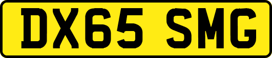 DX65SMG
