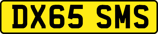 DX65SMS