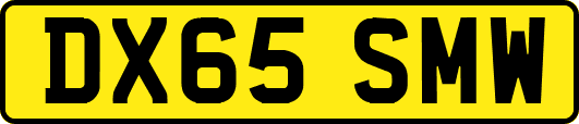 DX65SMW