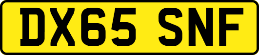 DX65SNF