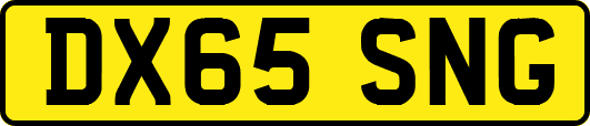 DX65SNG