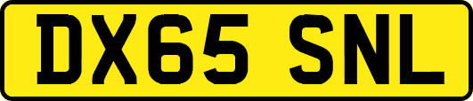 DX65SNL
