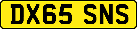 DX65SNS