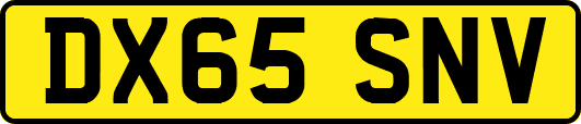 DX65SNV