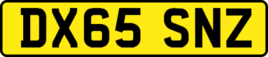 DX65SNZ