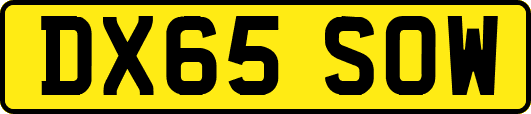 DX65SOW