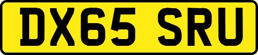 DX65SRU