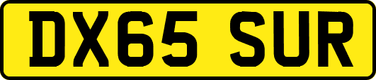 DX65SUR