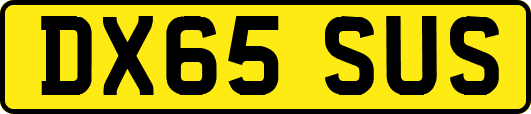 DX65SUS