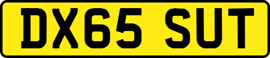 DX65SUT
