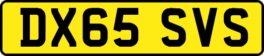 DX65SVS