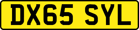 DX65SYL