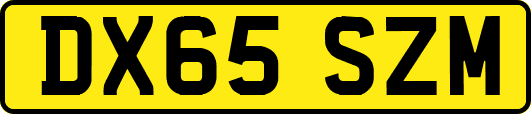 DX65SZM