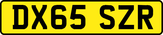 DX65SZR