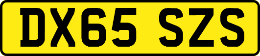 DX65SZS