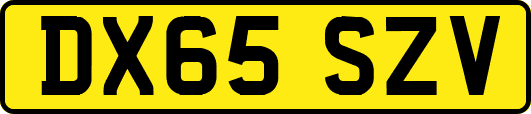 DX65SZV