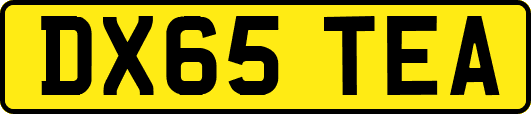 DX65TEA