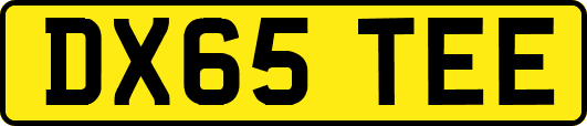 DX65TEE