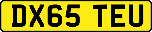 DX65TEU