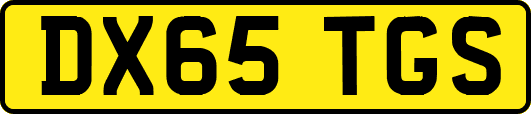 DX65TGS
