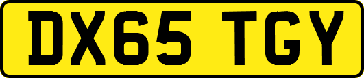DX65TGY