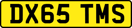 DX65TMS