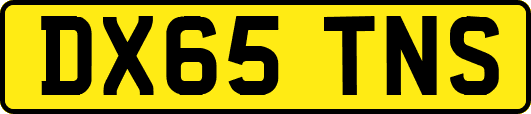 DX65TNS
