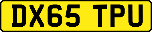 DX65TPU