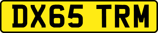 DX65TRM
