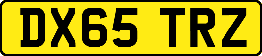 DX65TRZ