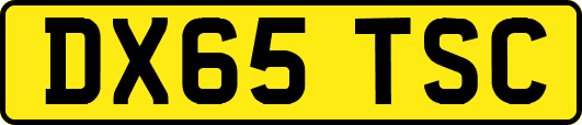 DX65TSC