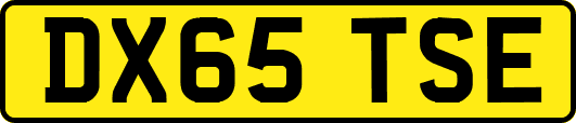 DX65TSE