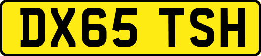 DX65TSH