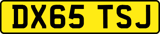 DX65TSJ
