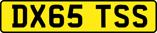 DX65TSS