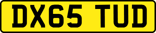 DX65TUD