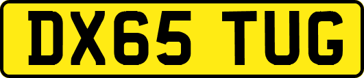 DX65TUG