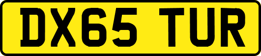 DX65TUR