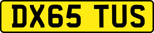 DX65TUS